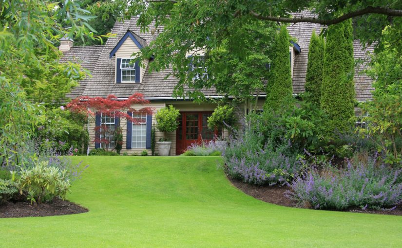 Curb Appeal: 10 Landscape Mistakes To Avoid This Spring